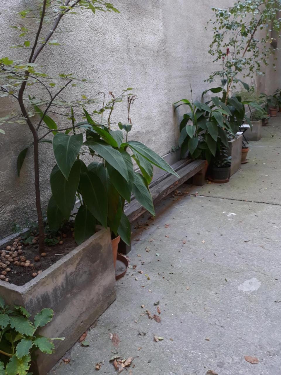 Connection Guesthouse Budapest Exterior photo